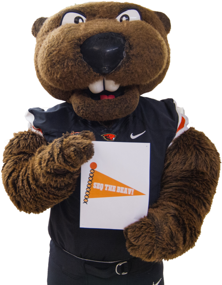 Osu Sports Mascot Benny The Beaver - Benny The Beaver Png PNG with transparent background