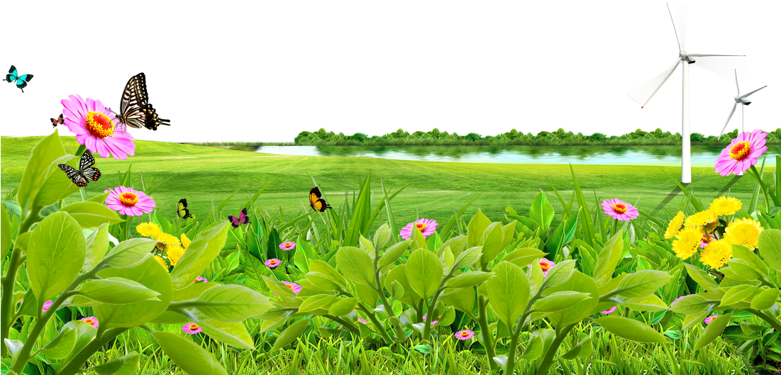 Meadow PNG Transparent Image PNG with transparent background