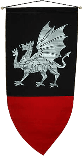 Medieval Dragon Banner