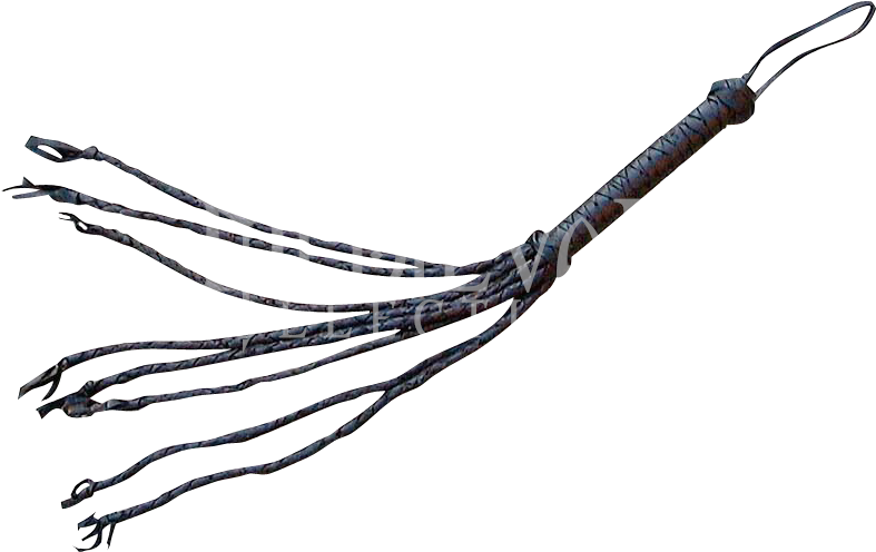 I Used This Image In My Box Because This Was One Of - Whips They Used In Slavery, HD Png Download PNG with transparent background