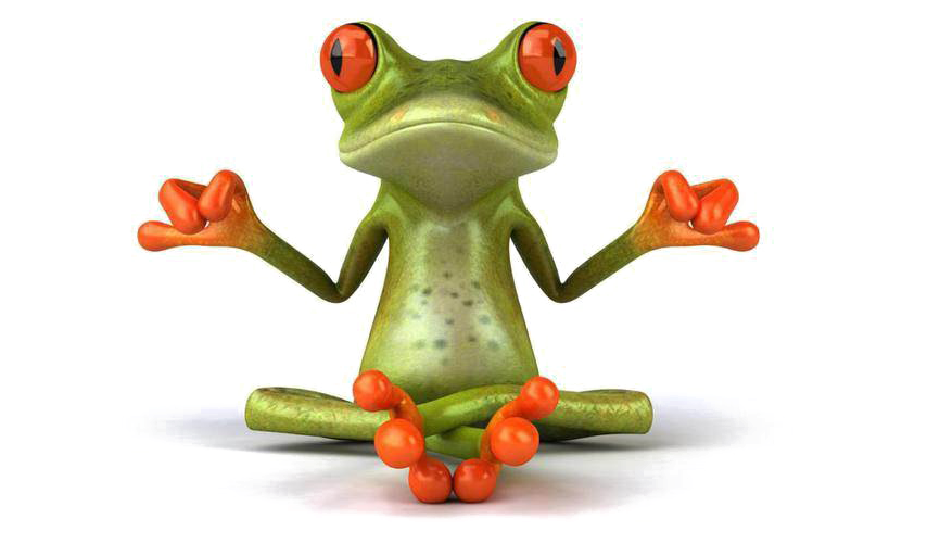 Meditating Frog Cartoon