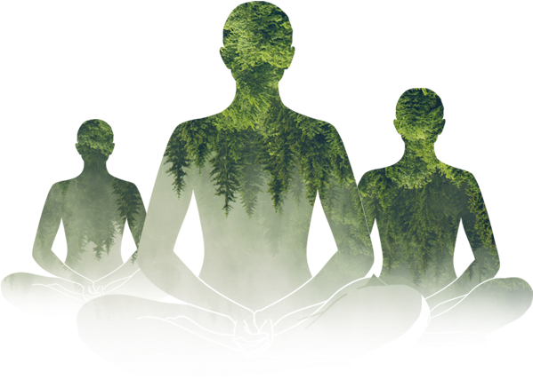 International Day Of Yoga - International Yoga Day Heartfulness, HD Png Download PNG with transparent background