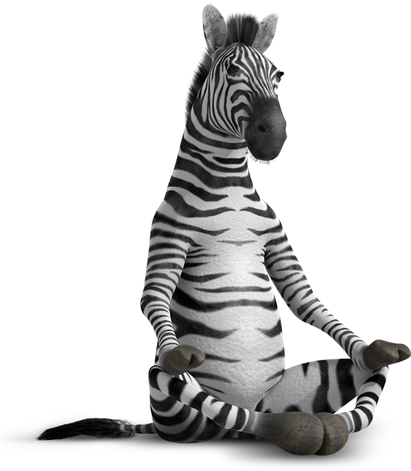 Meditative Zebra Crosslegged Pose