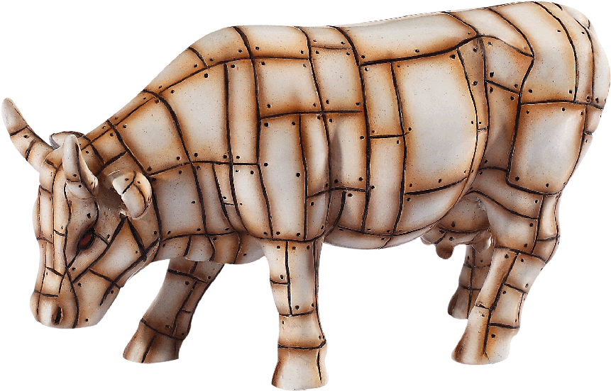 Medium - Indian Rhinoceros, HD Png Download PNG with transparent background
