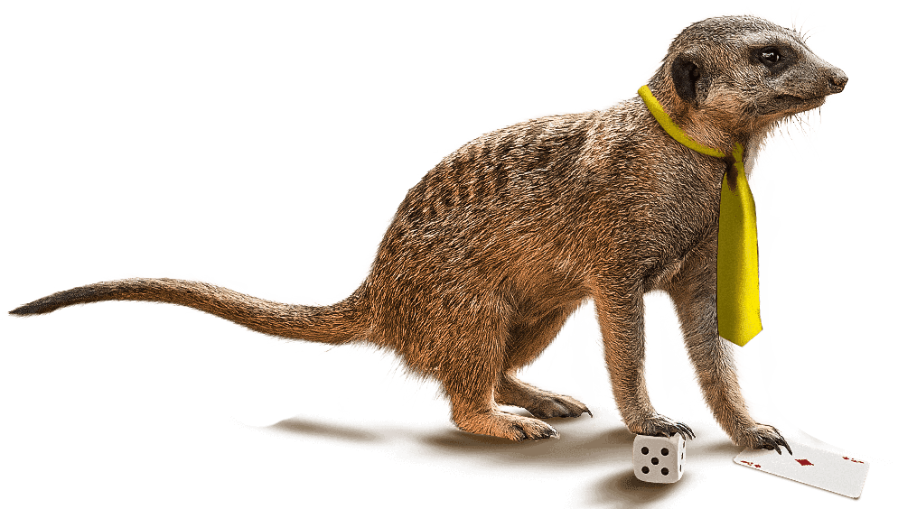 Meerkat Office Worker Illustration