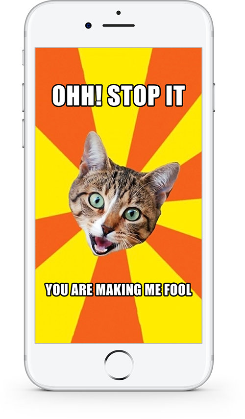 Meme Maker Developed By Digi Tech Lab - Pussy Cat Good Morning, HD Png Download PNG with transparent background