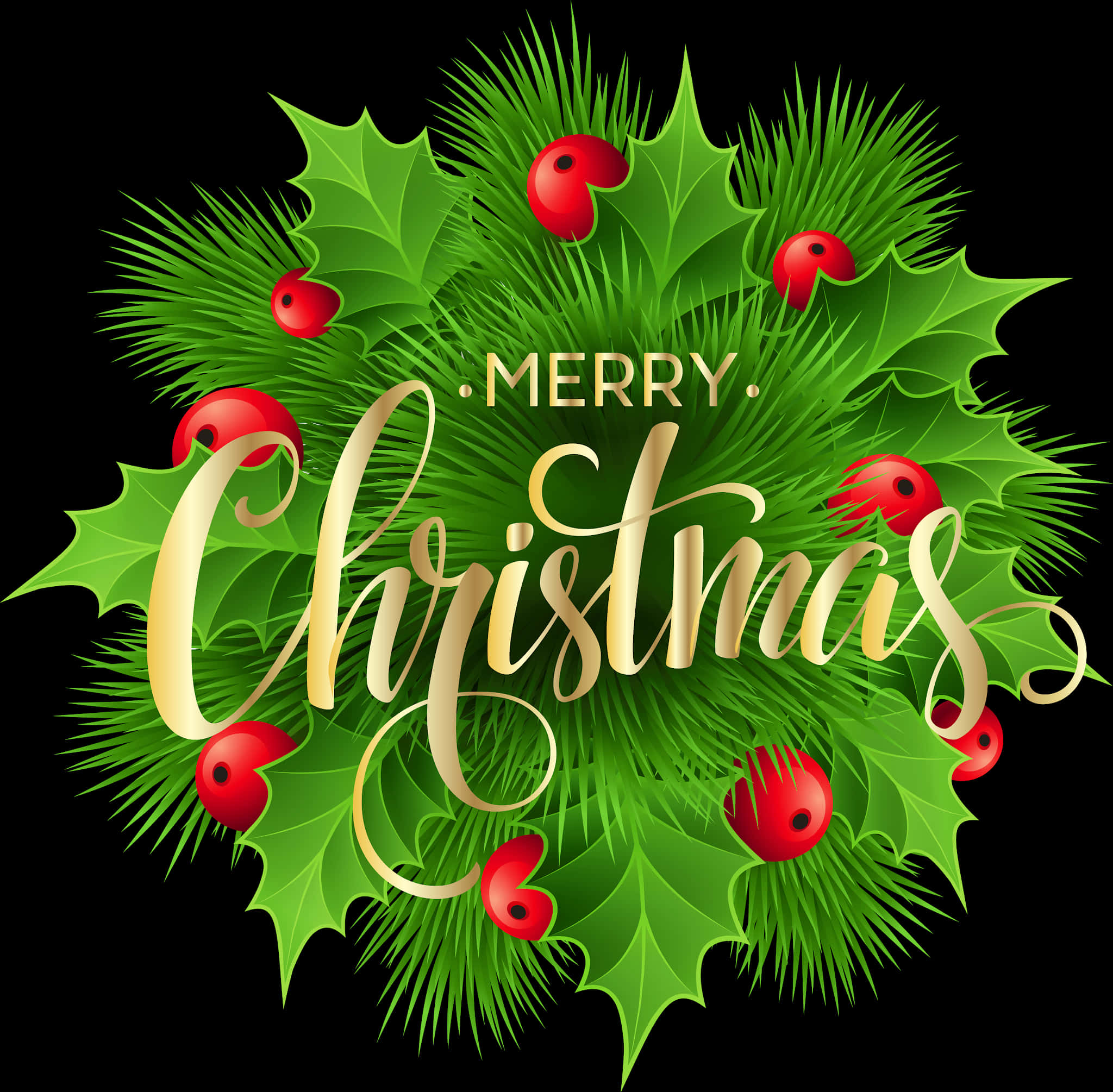 Merry Christmas Hollyand Berries Graphic PNG with transparent background