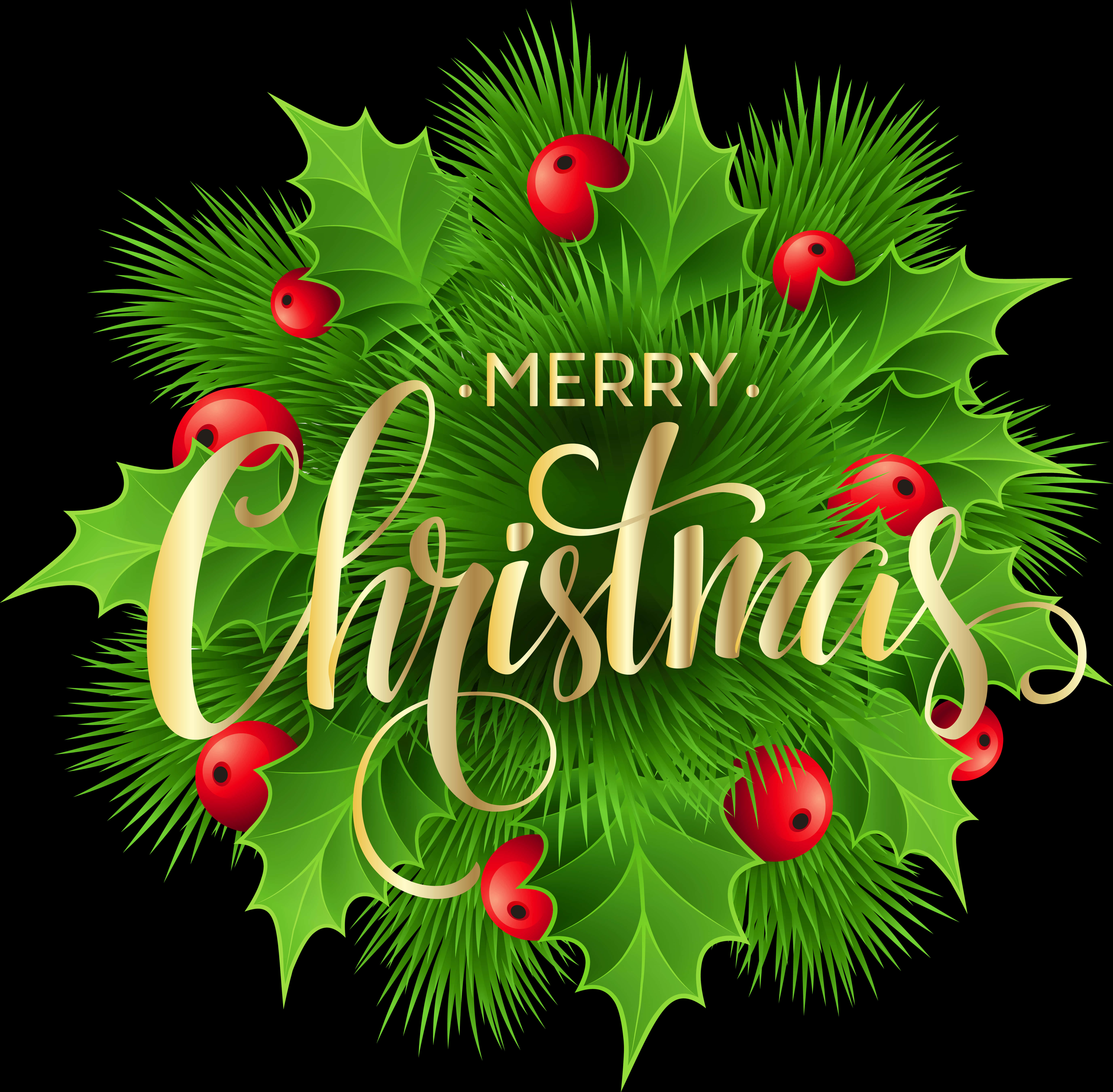 Merry Christmas Hollyand Berries PNG with transparent background
