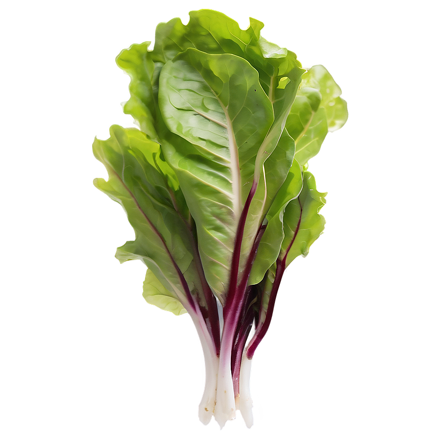 Mesclun Greens Png 44