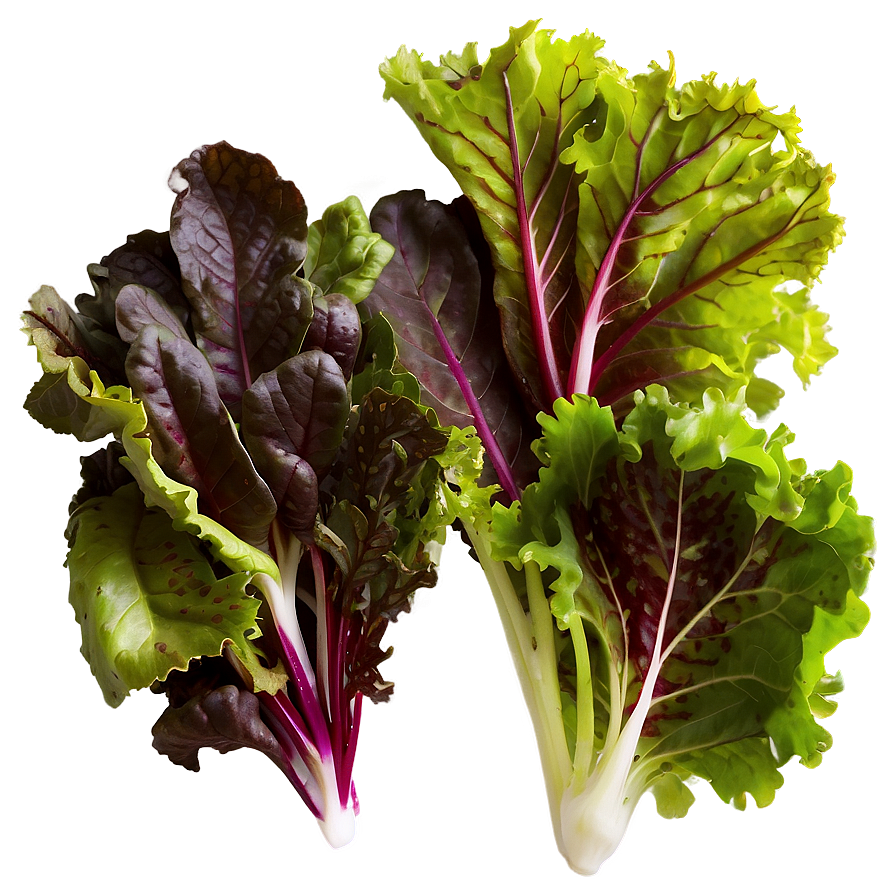 Mesclun Greens Png Nqg3