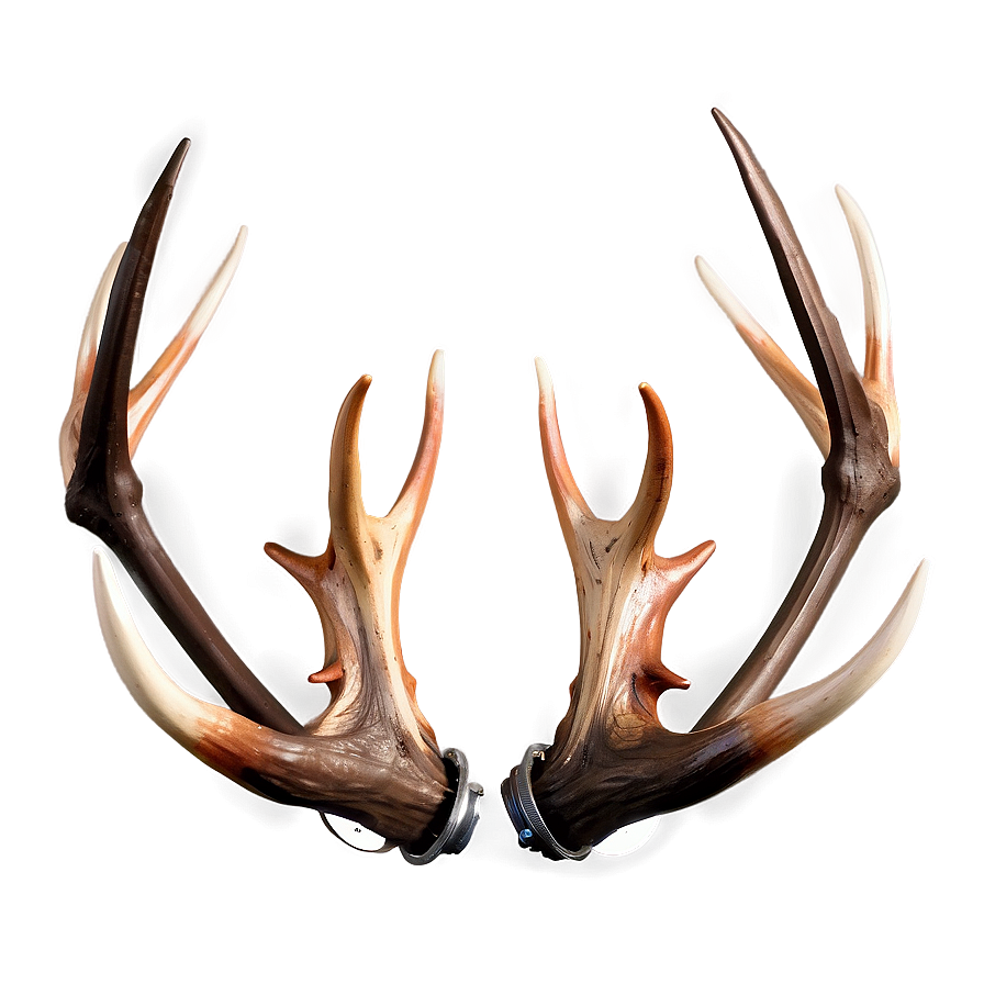 Metallic Deer Antler Png Fsg