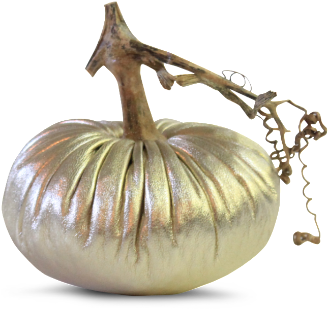 'Data Image Id='15285485318'Class='productimg - Pumpkin, HD Png Download PNG image with a transparent background, free high-resolution download