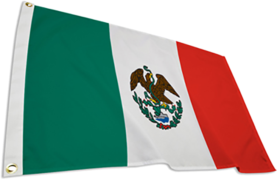 Mexican Flag Waving