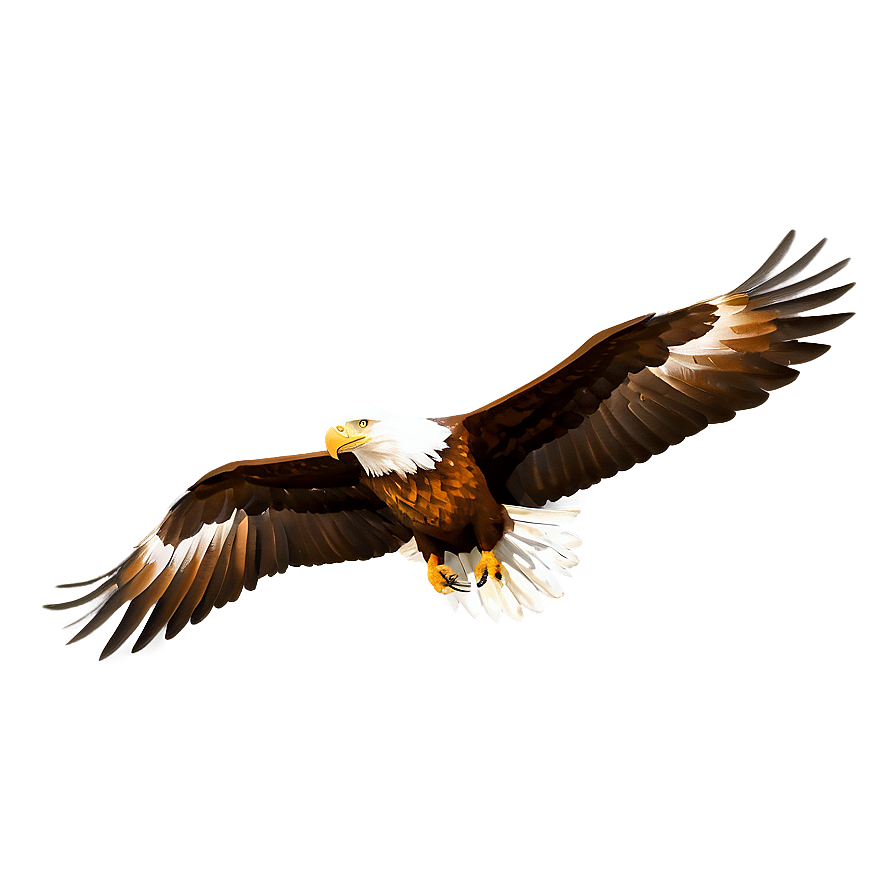 Mexico Eagle Wing Spread Png 76