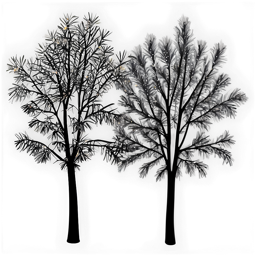 Midnight Black Trees Png 06292024