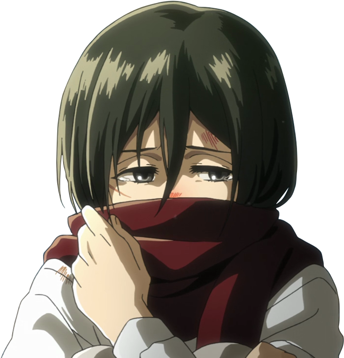 Mikasa Ackerman Contemplative Look