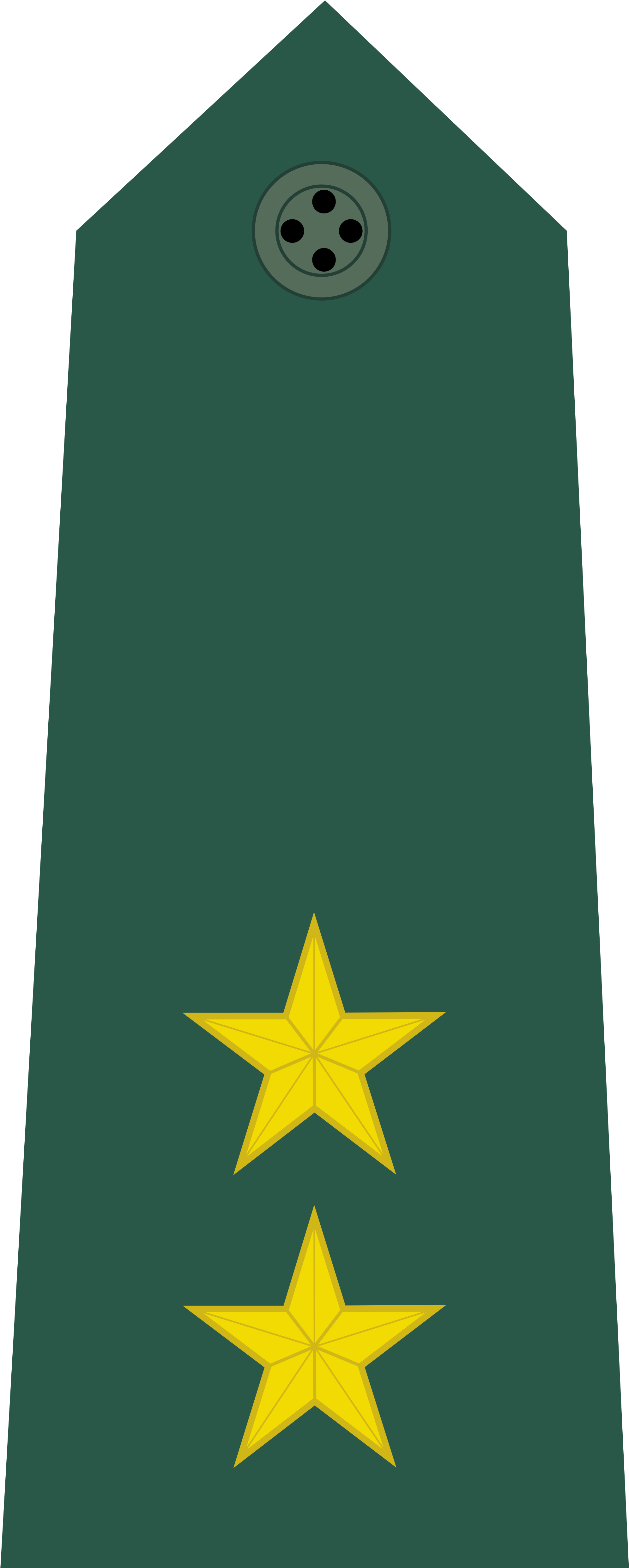 Military Epaulettewith Two Stars