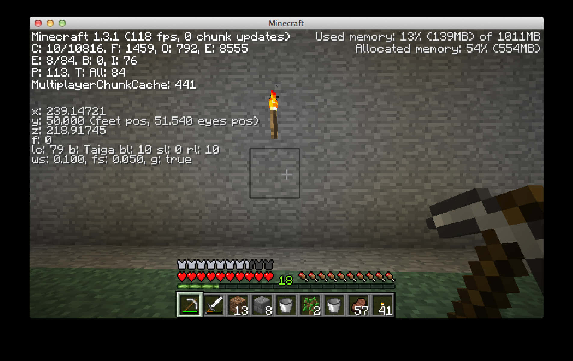 Minecraft_ Gameplay_ Screenshot_with_ Debug_ Screen PNG with transparent background