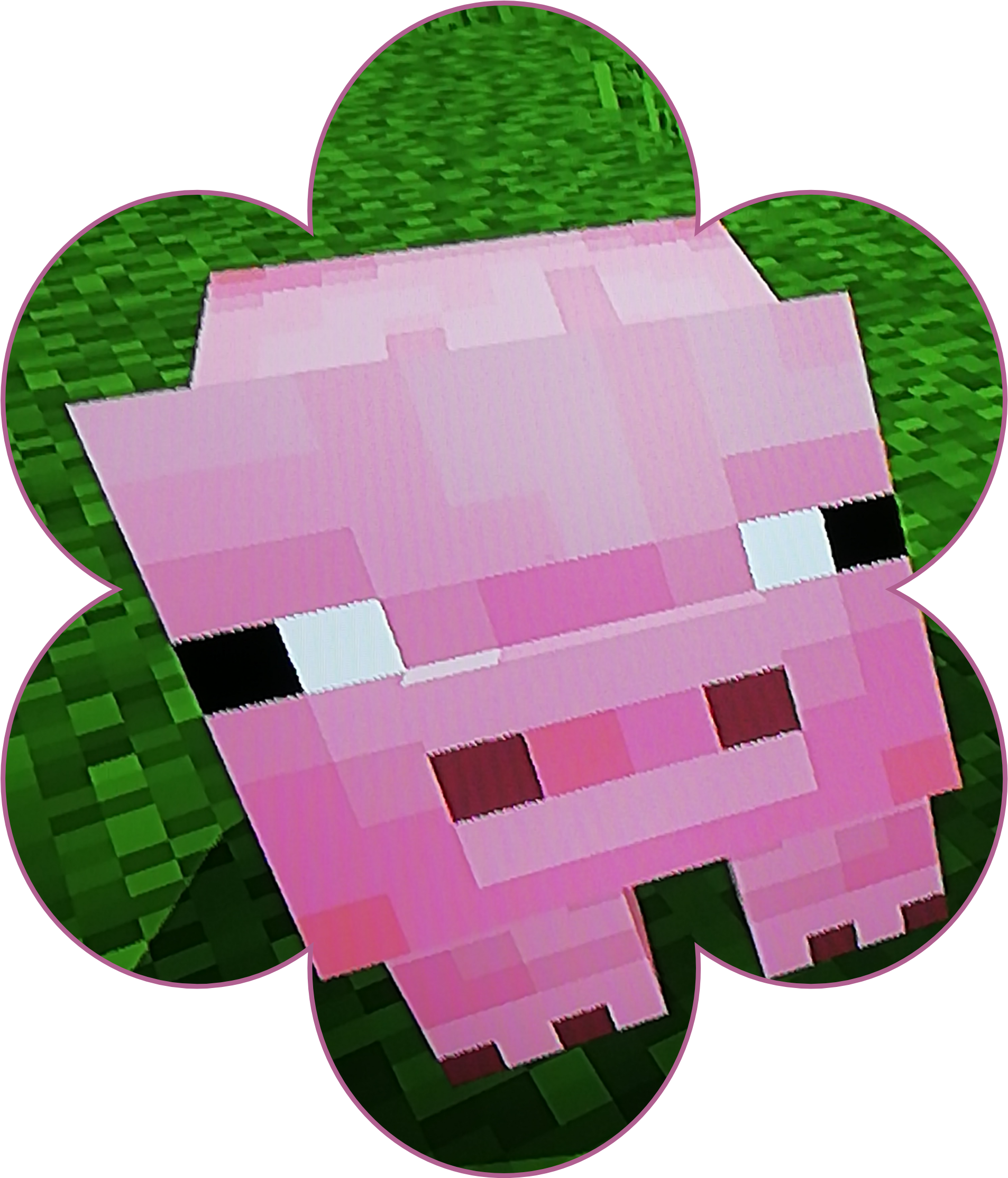 #minecraft #pig #edit - Carpet, Hd Png Download