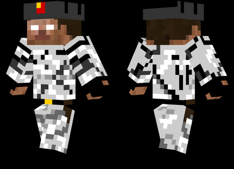 Minecraft Skin Prisoner Outfit