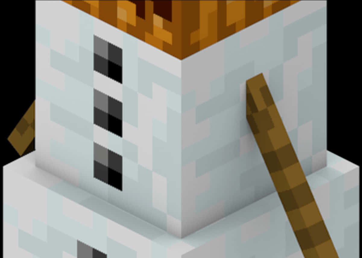 Minecraft_ Snow_ Golem_ Pumpkin_ Head_ Detail PNG with transparent background