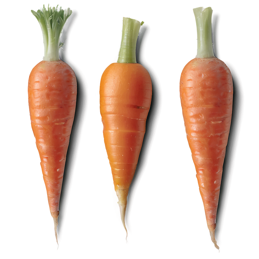 Mini Carrots Png 06132024