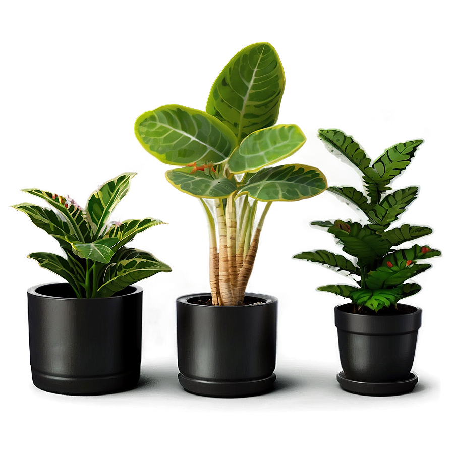 Mini Potted Plants Assortment PNG wai70 PNG image with a transparent background, free high-resolution download