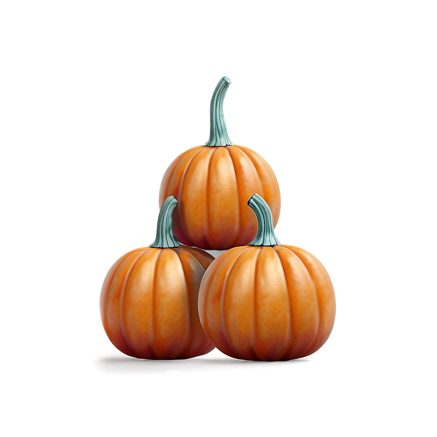 Miniature Pumpkin Collection Png 37