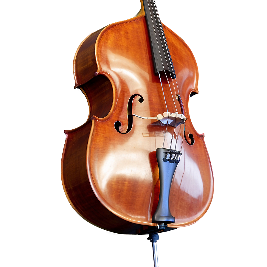 Minimal Double Bass Png Xvf