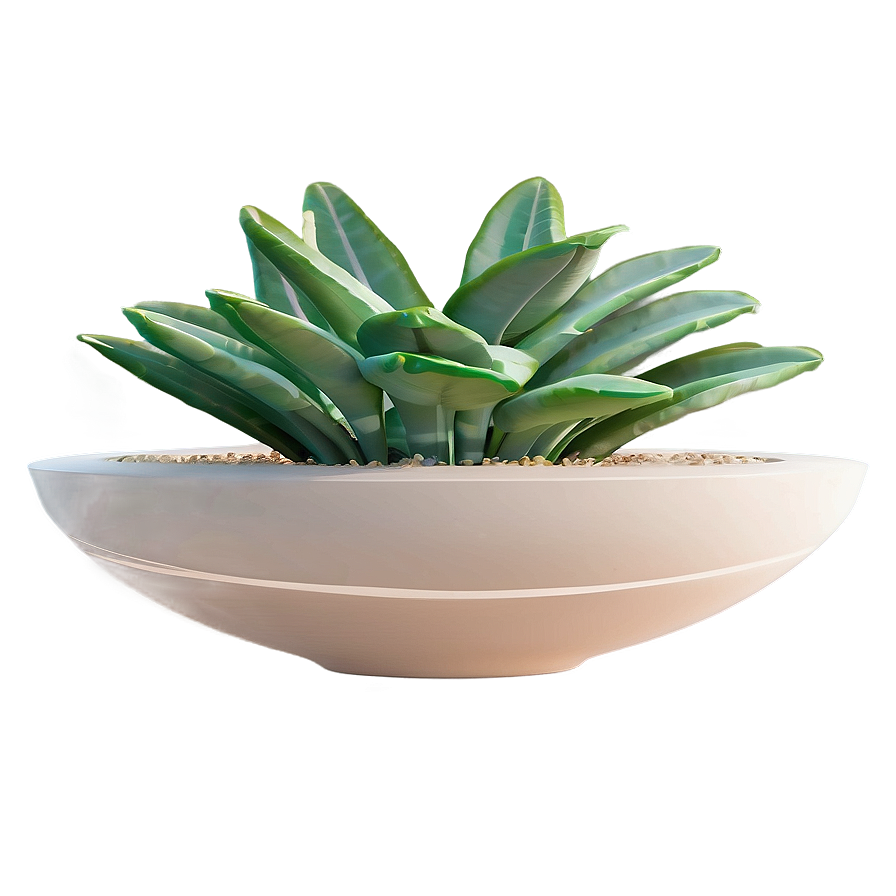 Minimalist Aesthetic Plant Png Hqo