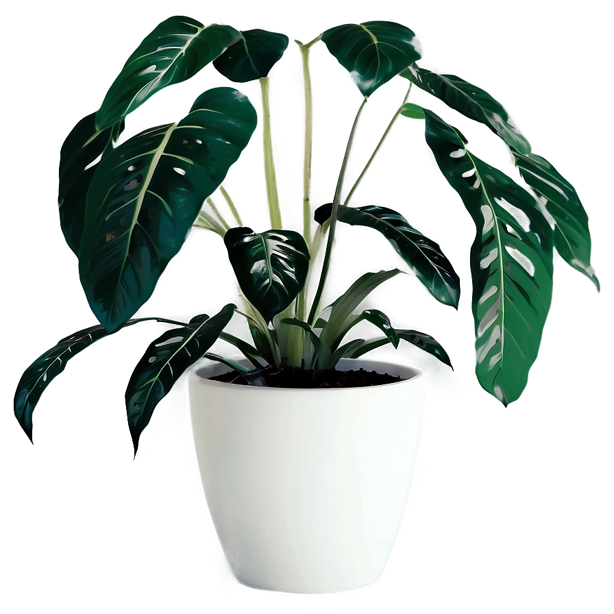 Minimalist Aesthetic Plant Png Weh37