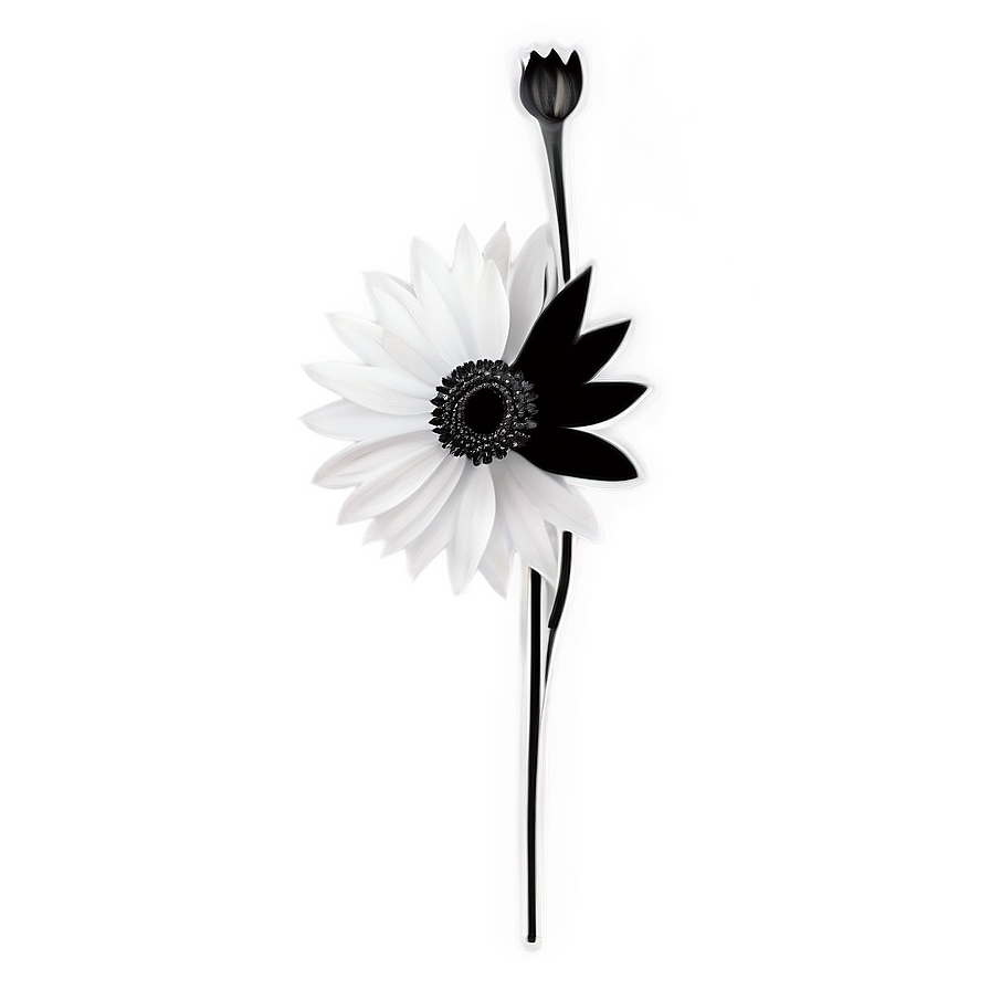 Minimalist Black and White Flower PNG 05252024 PNG image with a transparent background, free high-resolution download