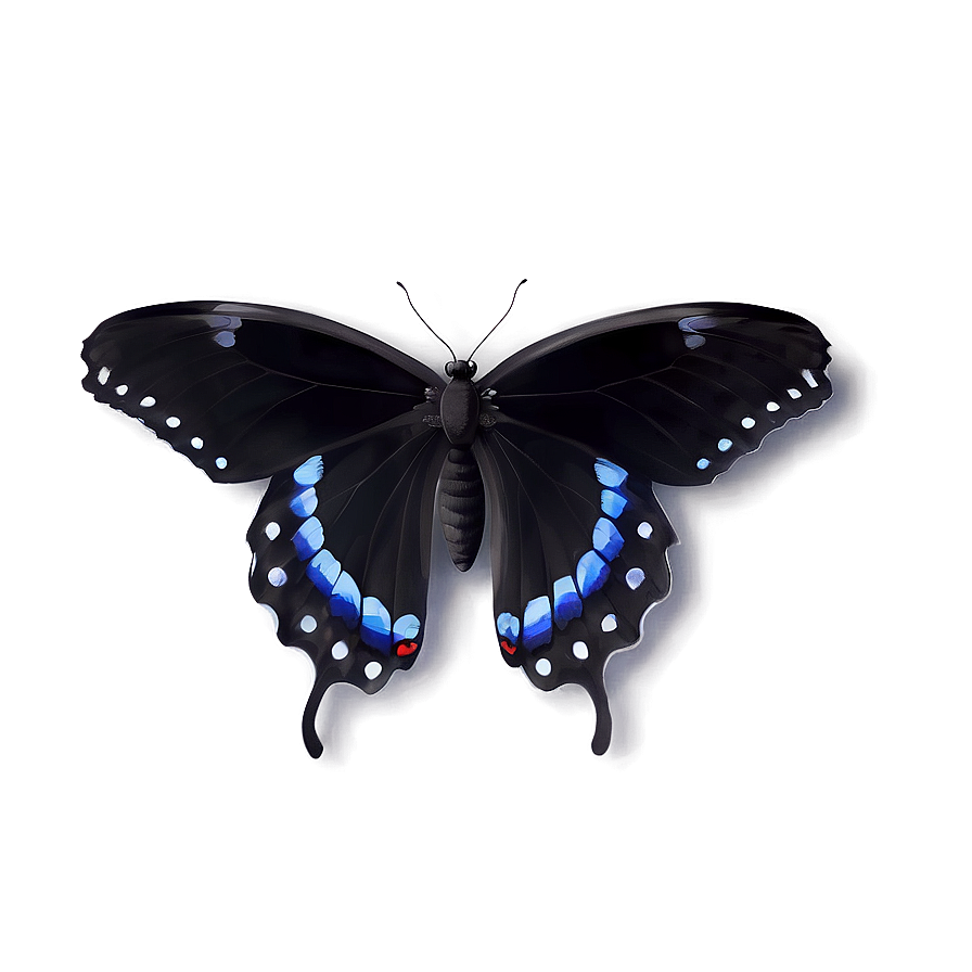 Minimalist Black Butterfly Png Vpr