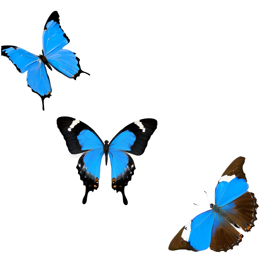 Minimalist Blue Butterflies Png Mrc