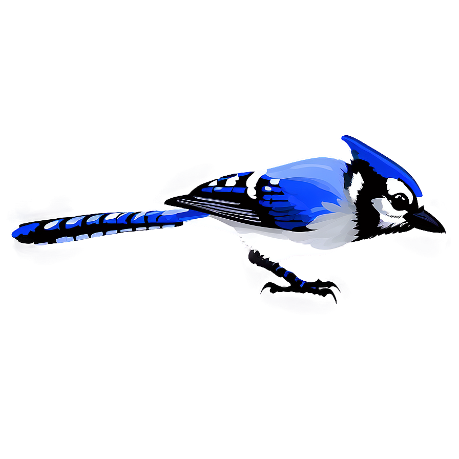 Minimalist Blue Jay Design Png Alk