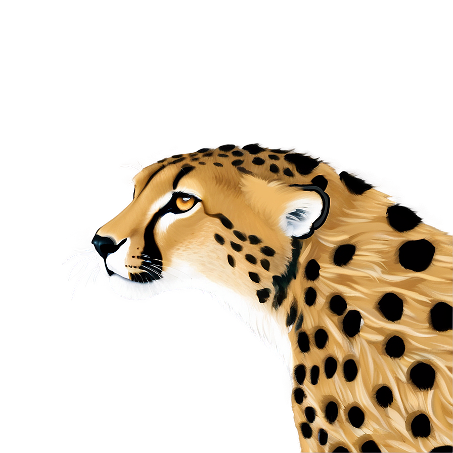 Minimalist Cheetah Drawing Png 06112024