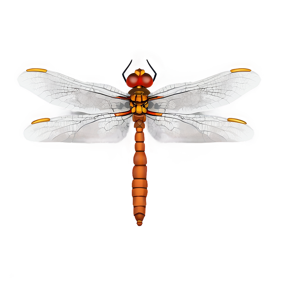 Minimalist Dragonfly Png 05212024