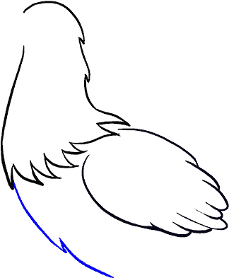 How To Draw Chicken - Easy How To Draw A Chicken, HD Png Download PNG with transparent background