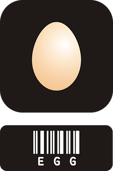 Minimalist Egg Design PNG with transparent background
