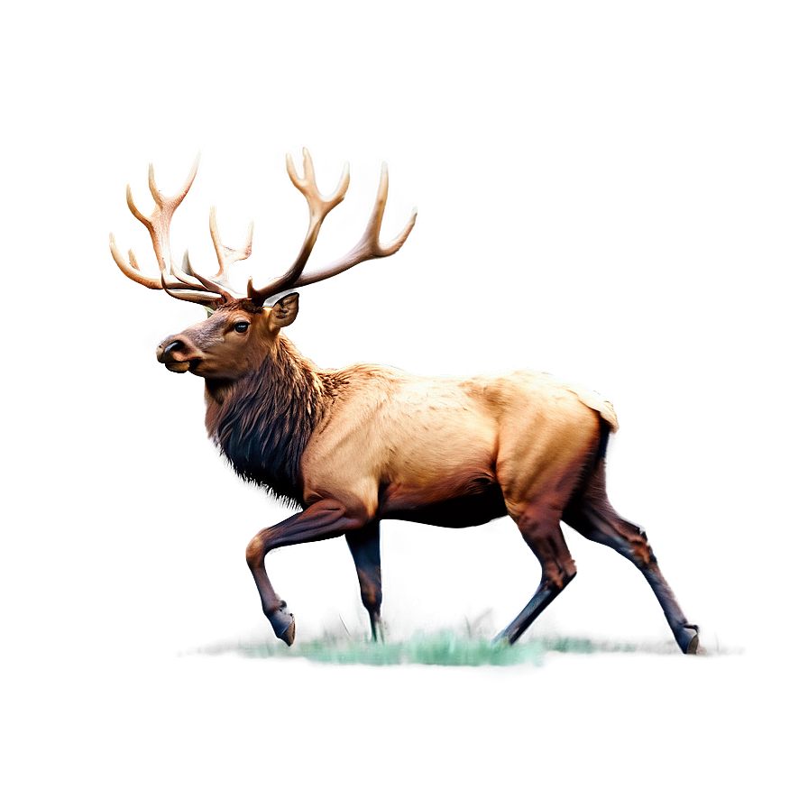 Minimalist Elk Png Orc44