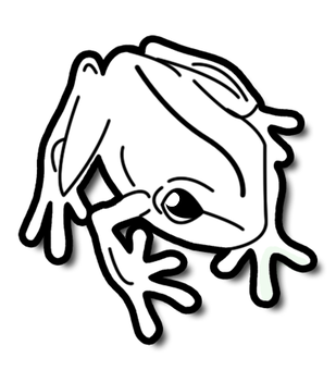 Minimalist Frogin Darkness PNG with transparent background