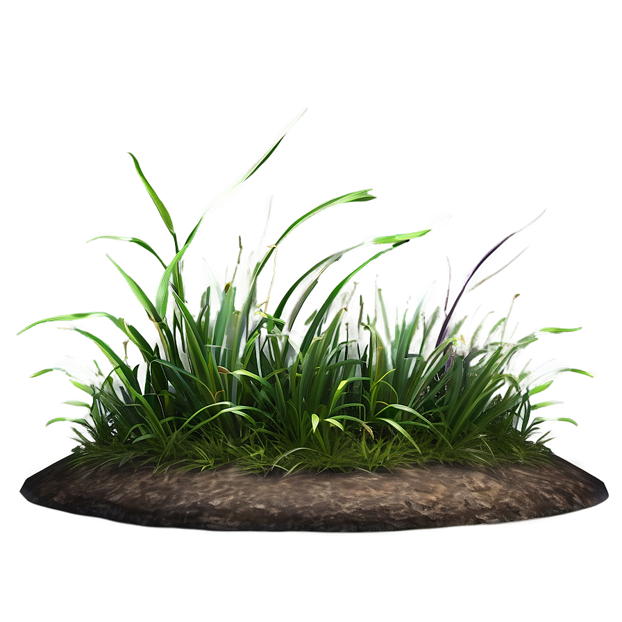 Minimalist Grass Patch Png 06212024