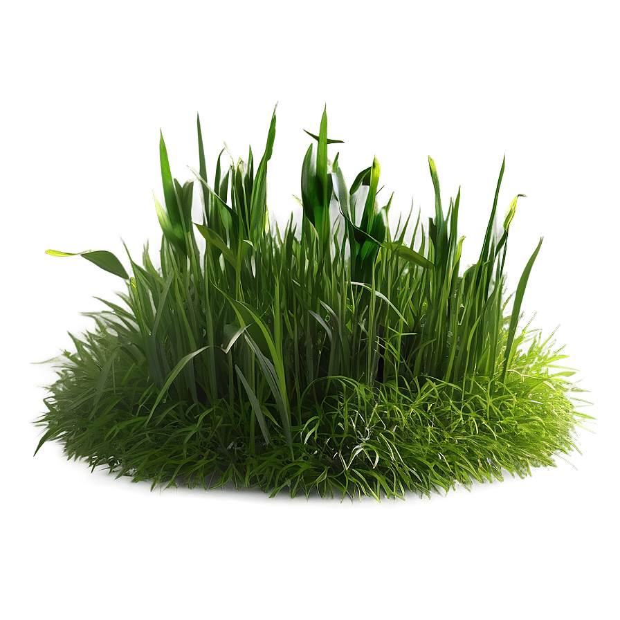 Minimalist Grass Patch Png Uac10