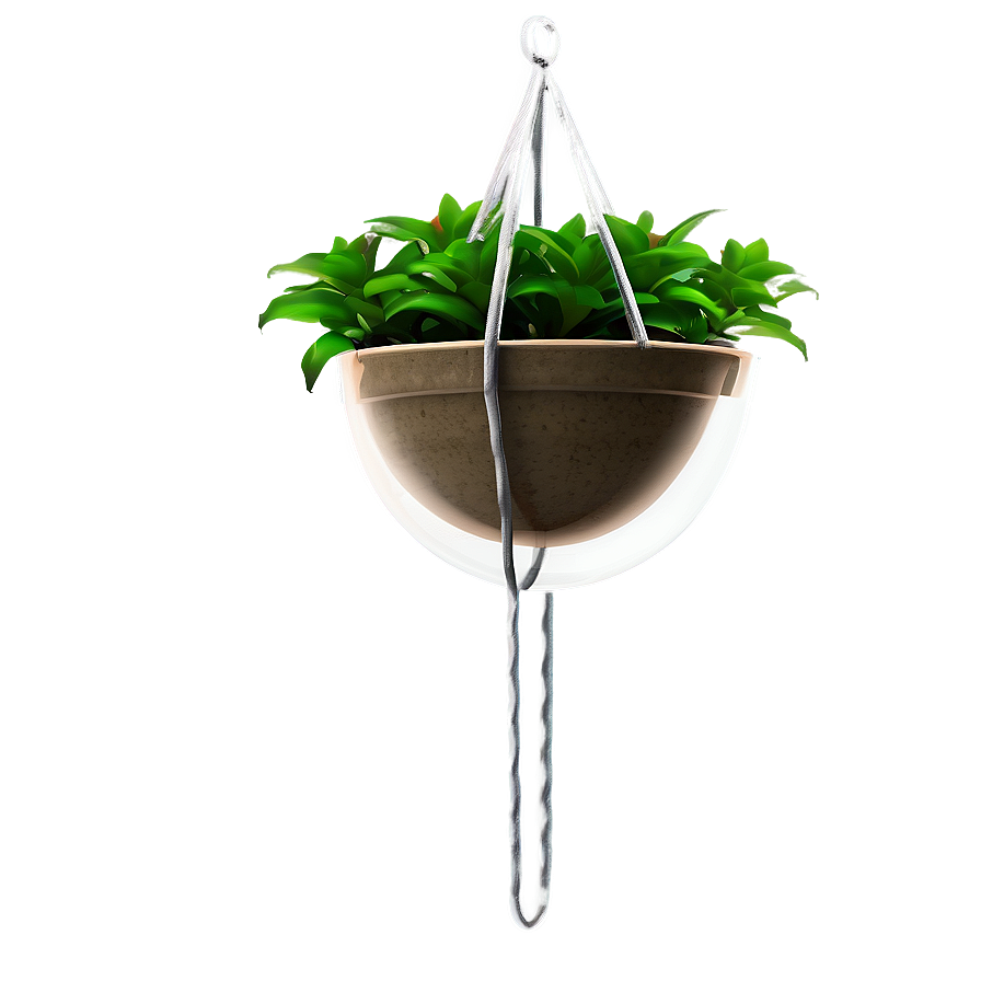 Minimalist Hanging Plant Png Koj70