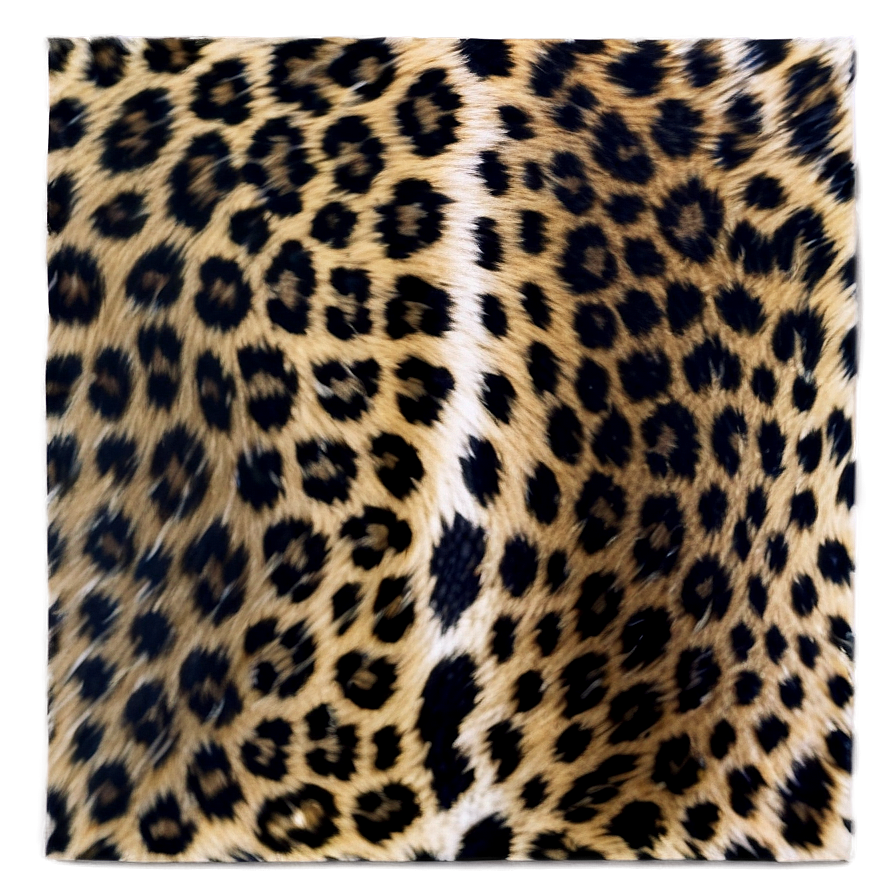 Minimalist Leopard Print Png 06252024