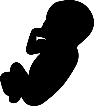 Minimalist_ Play_ Button PNG with transparent background