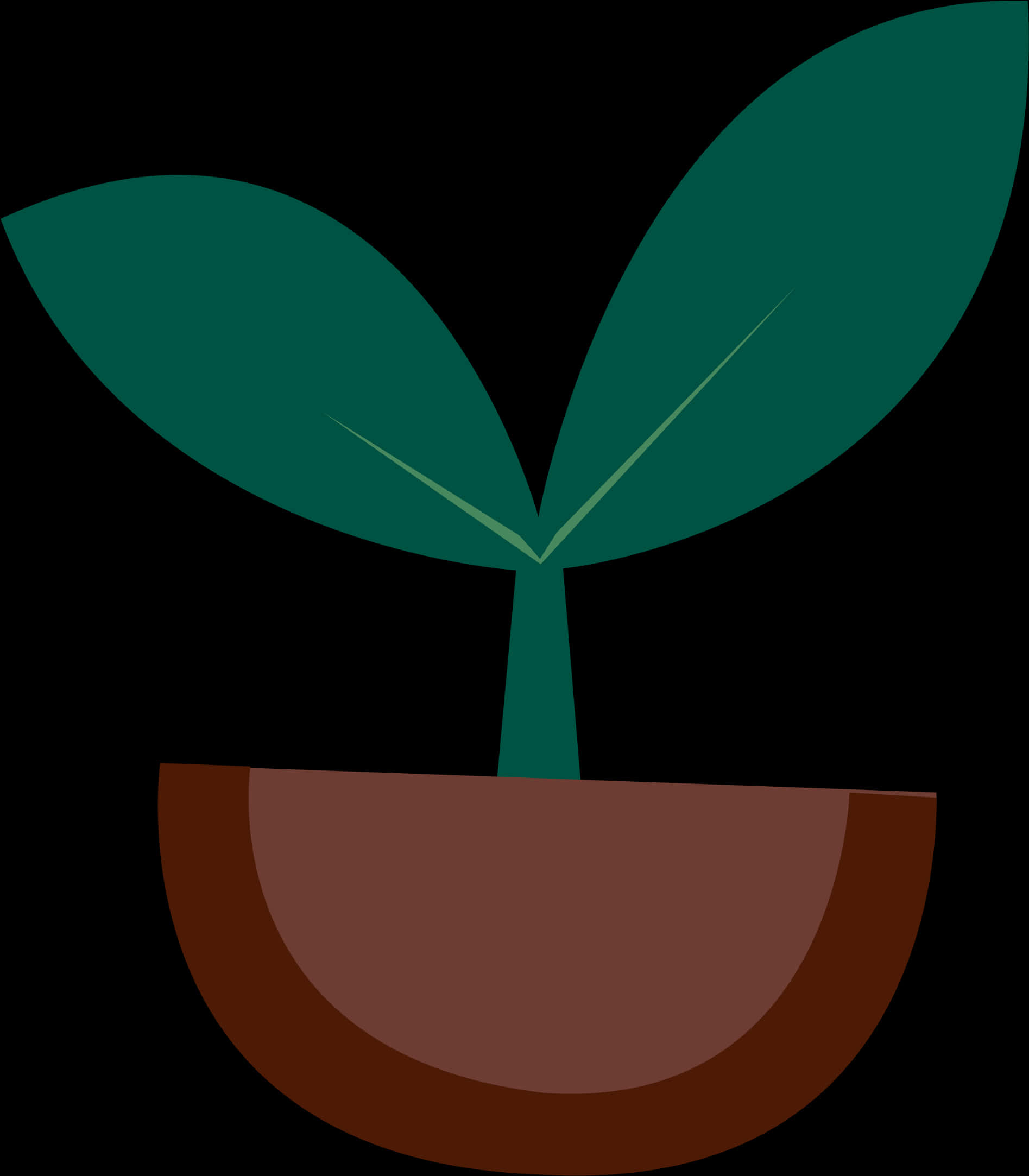 Minimalist Potted Plant Illustration