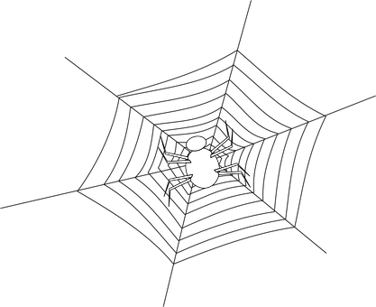 Minimalist Spider Graphic