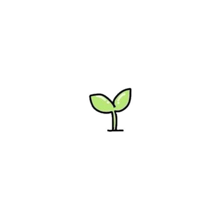 Minimalist Sprout Illustration PNG with transparent background
