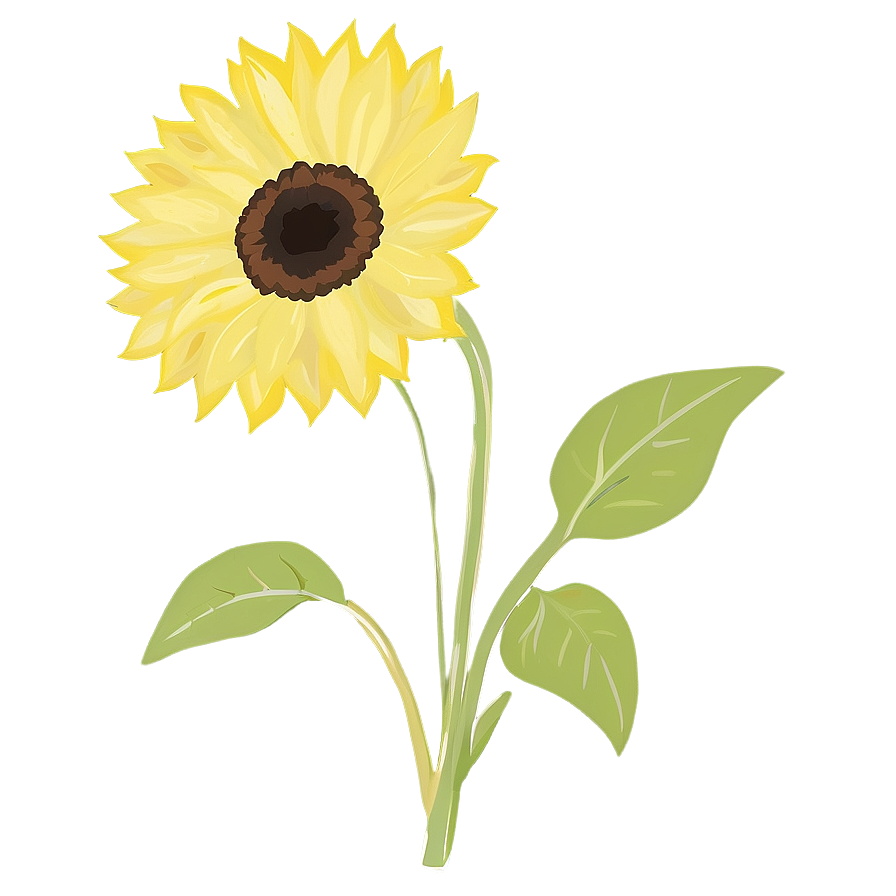 Minimalist Sunflower Png Npt